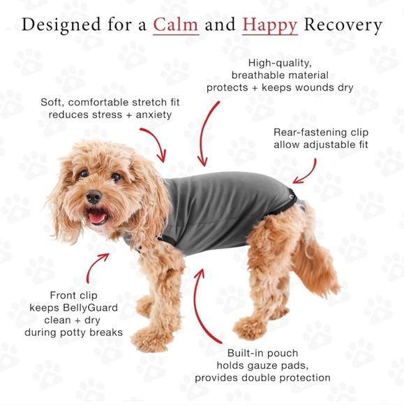 BellyGuard Dog Recovery Suit - Picture 4 of 5